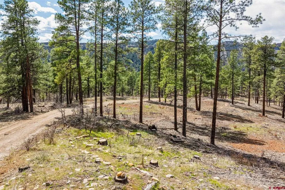 20861 Hwy 160 Bayfield, CO 81122