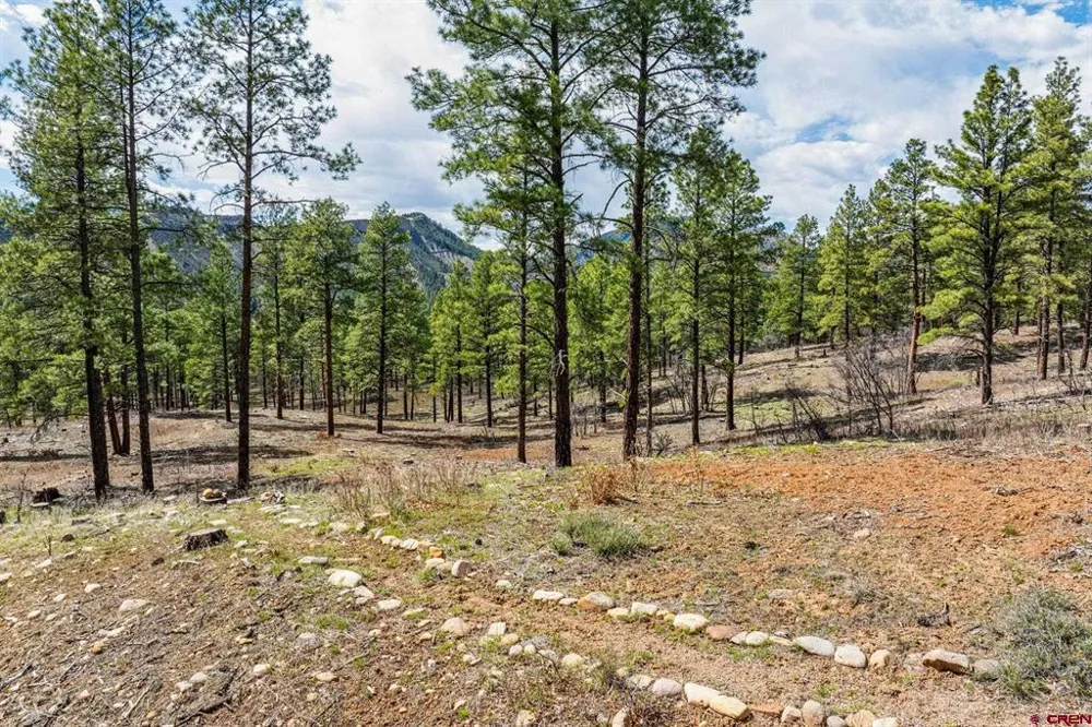 20861 Hwy 160 Bayfield, CO 81122