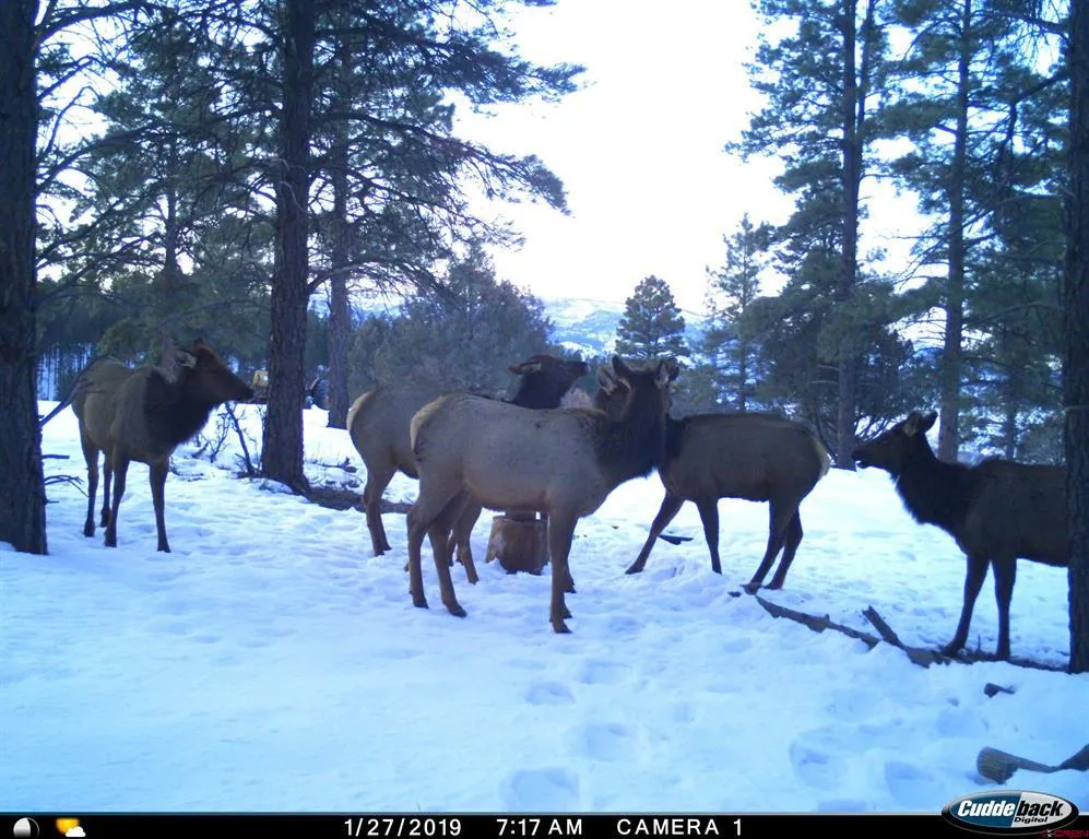 20861 Hwy 160 Bayfield, CO 81122