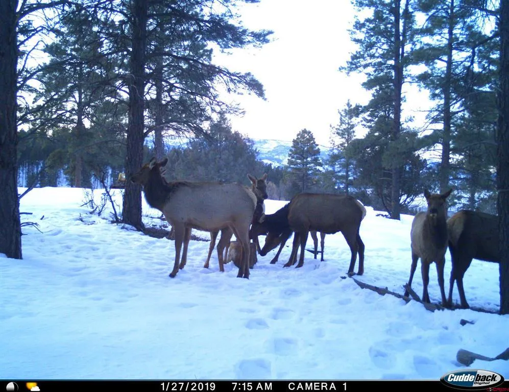 20861 Hwy 160 Bayfield, CO 81122