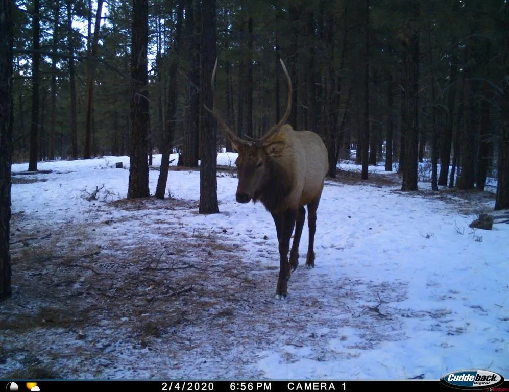 20861 Hwy 160 Bayfield, CO 81122