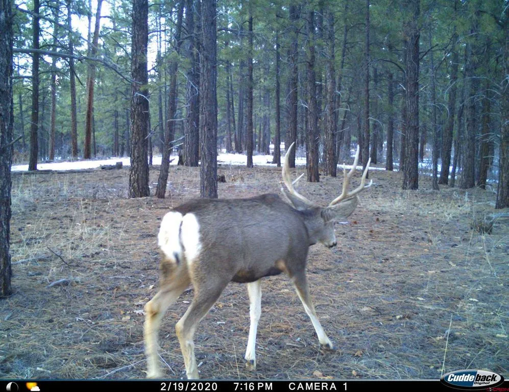 20861 Hwy 160 Bayfield, CO 81122