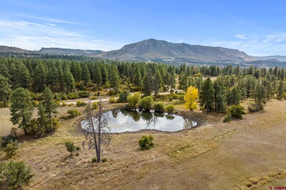 45501 Road L Mancos, CO 81328