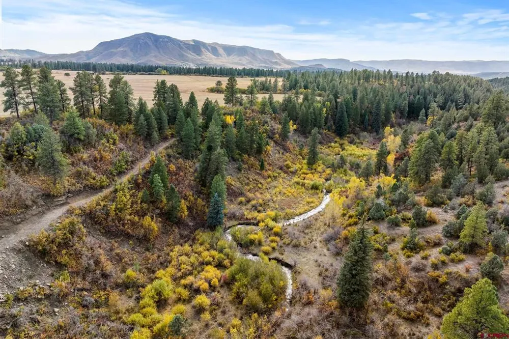 45501 Road L Mancos, CO 81328