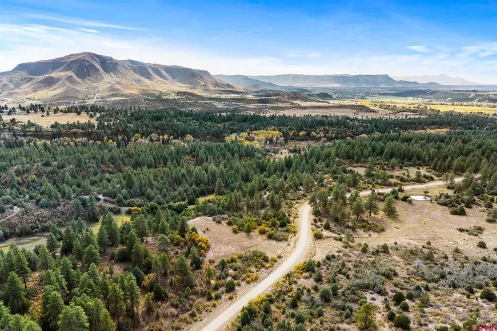 45501 Road L Mancos, CO 81328