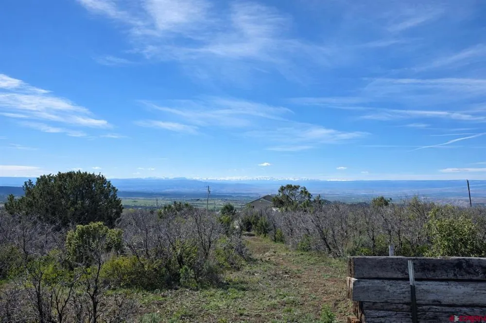 21976 2225 ROAD Cedaredge, CO 81413