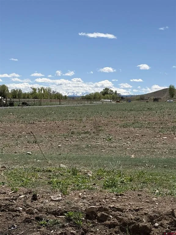 Jig Road Montrose, CO 81403