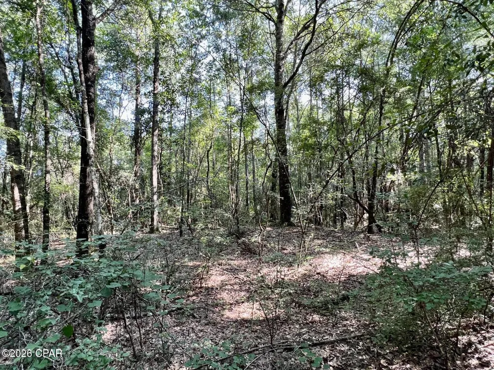 Broom Road Bonifay, FL 32425