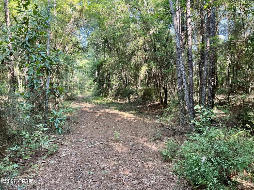 Broom Road Bonifay, FL 32425
