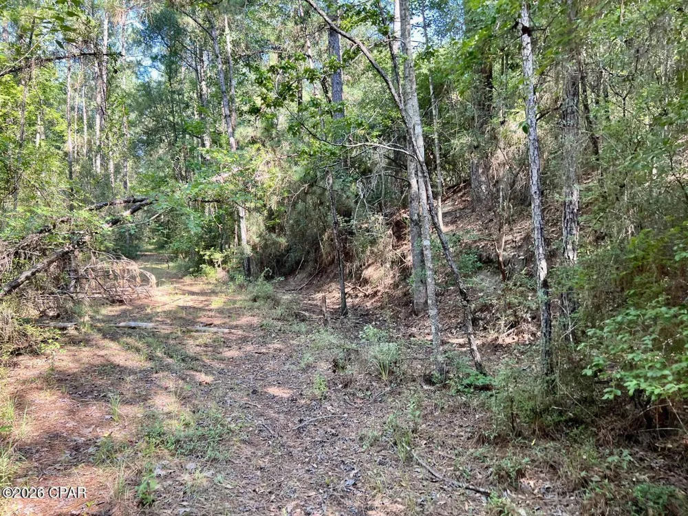 Broom Road Bonifay, FL 32425