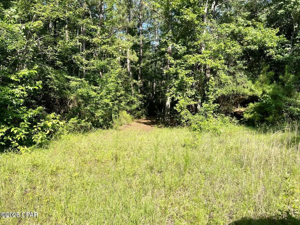 Broom Road Bonifay, FL 32425