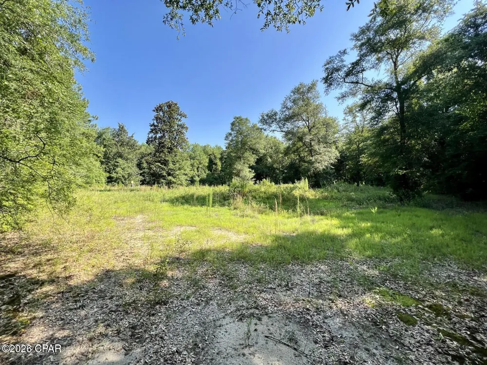 Broom Road Bonifay, FL 32425