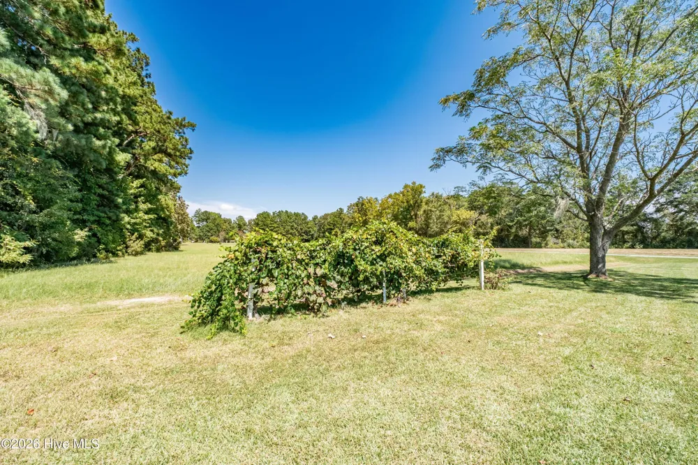 179 Stephen Way Belhaven, NC 27810
