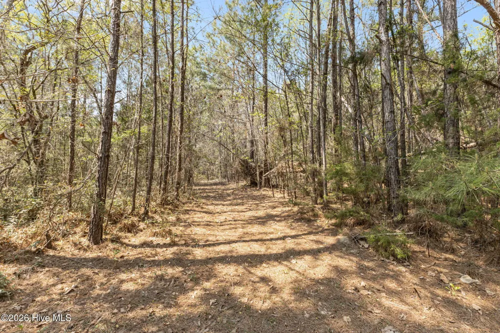 4160 Freedom Way Hubert, NC 28539