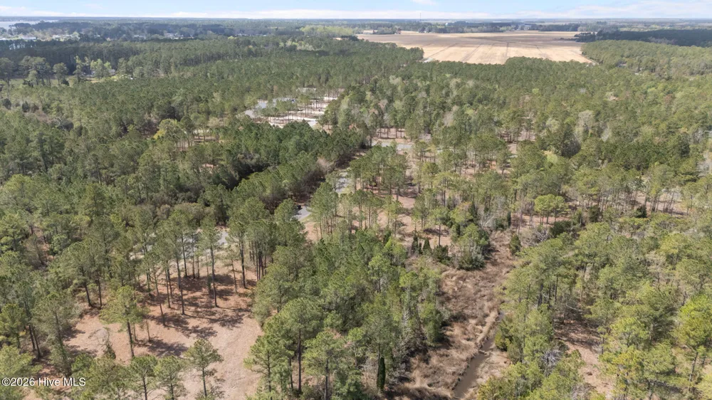 69 Royal Shoal Lane Vandemere, NC 28587