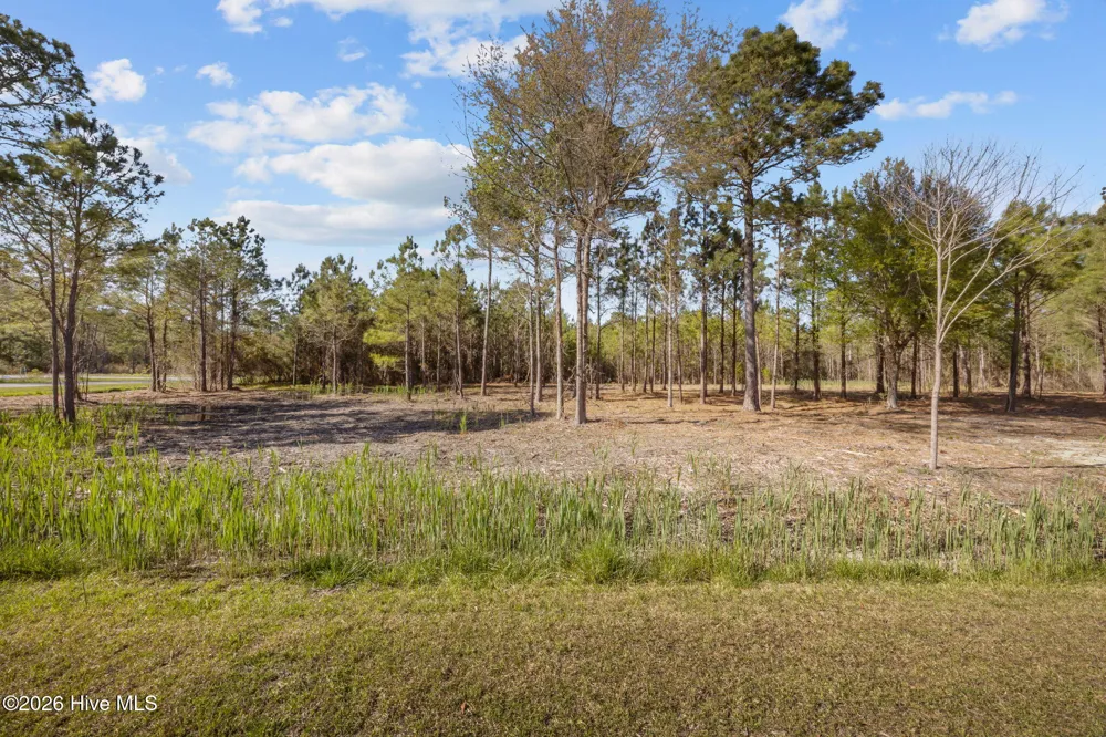 699 Vandemere Creek Drive Vandemere, NC 28587