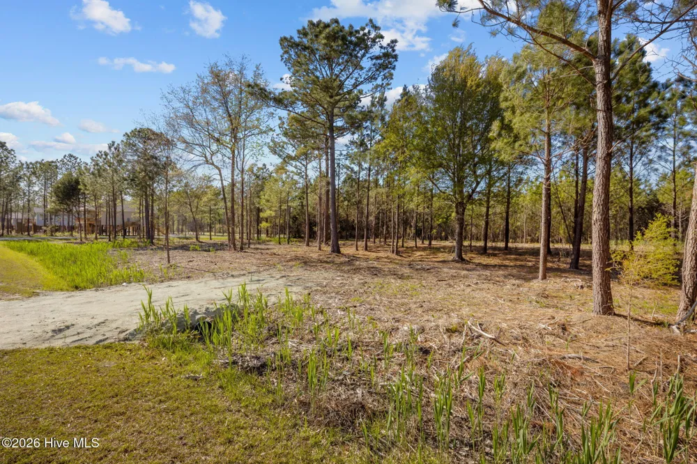 699 Vandemere Creek Drive Vandemere, NC 28587