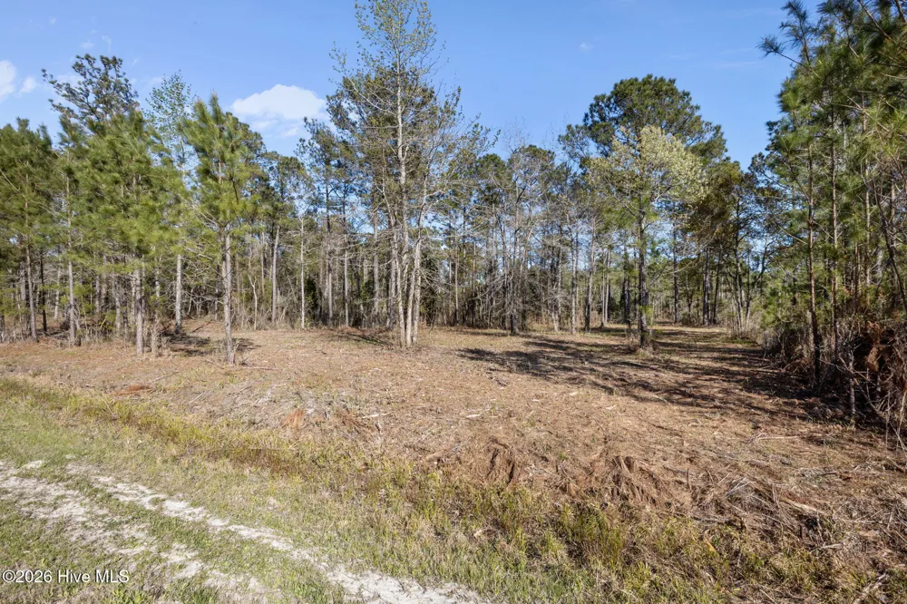 168 Shell Castle Lane Vandemere, NC 28587