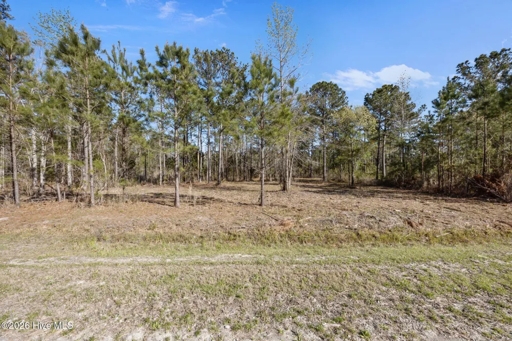 168 Shell Castle Lane Vandemere, NC 28587