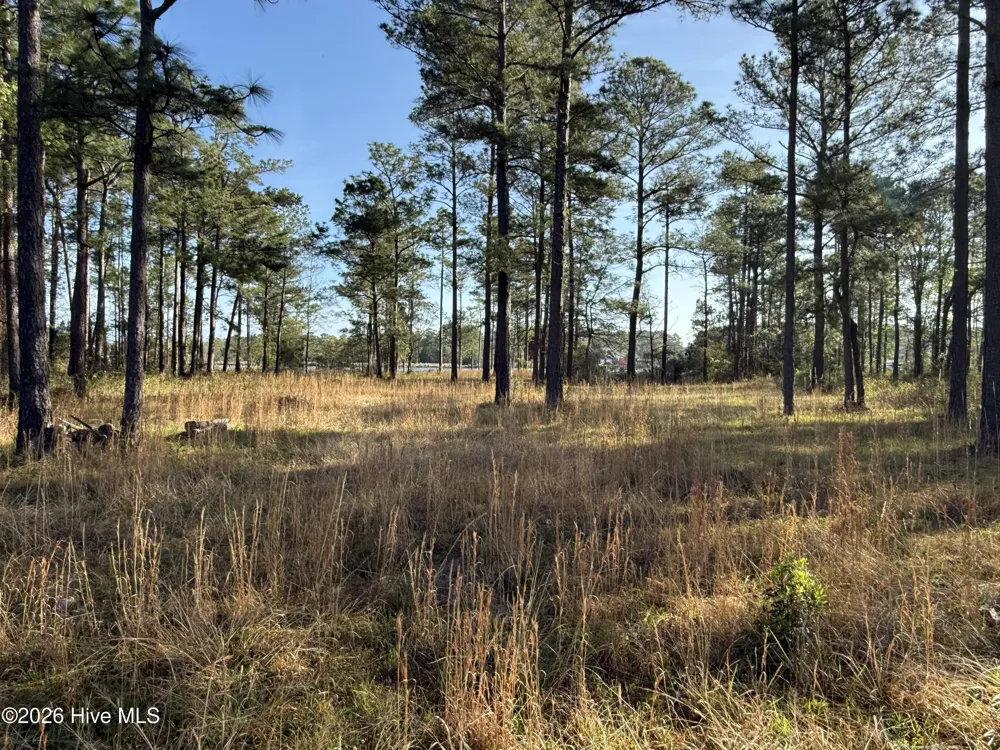 269 Shell Castle Lane Vandemere, NC 28587
