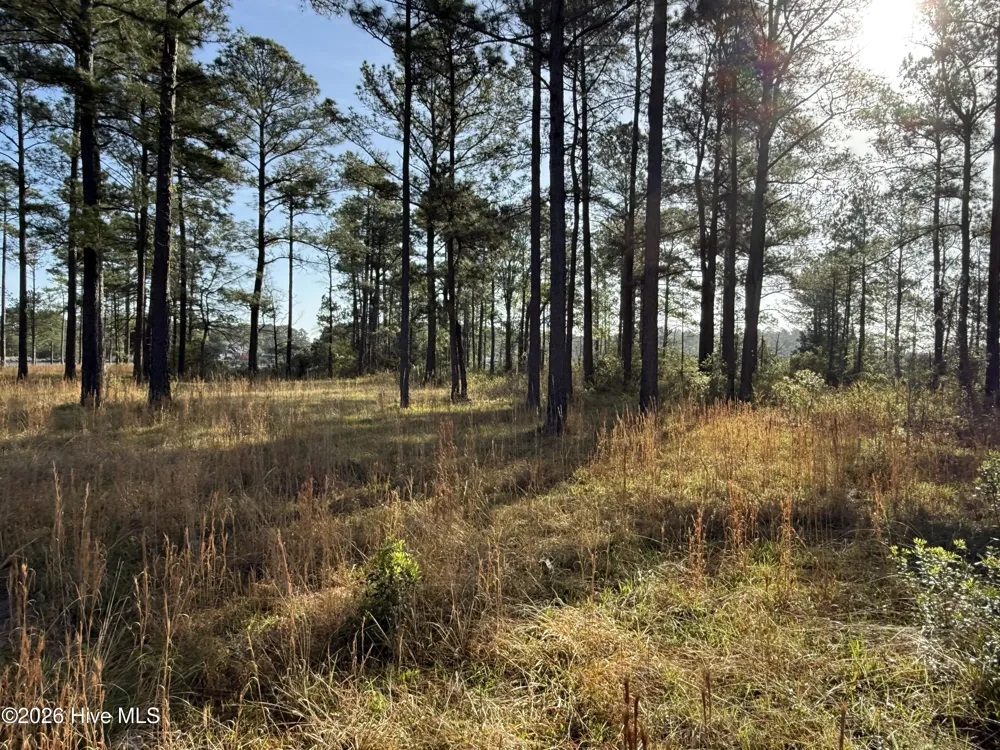 269 Shell Castle Lane Vandemere, NC 28587