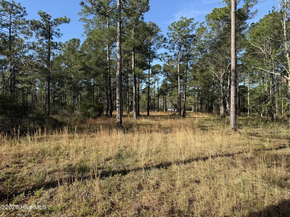 269 Shell Castle Lane Vandemere, NC 28587