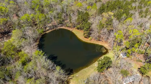 10477 Macon Road