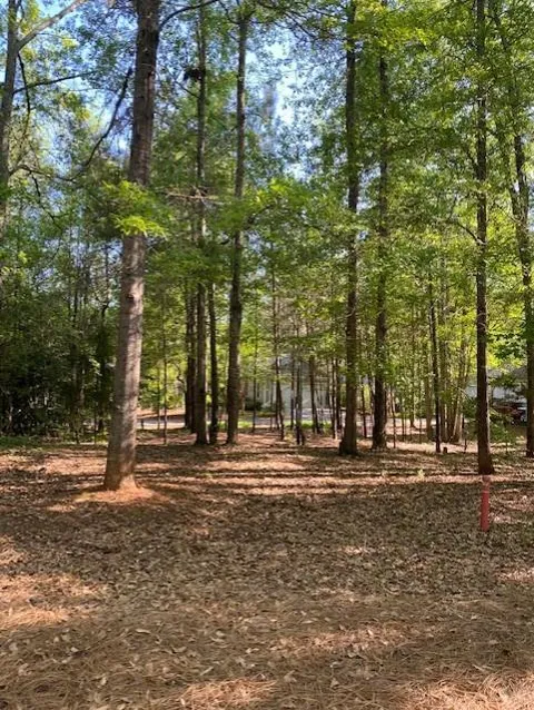 324 Dogwood Lane