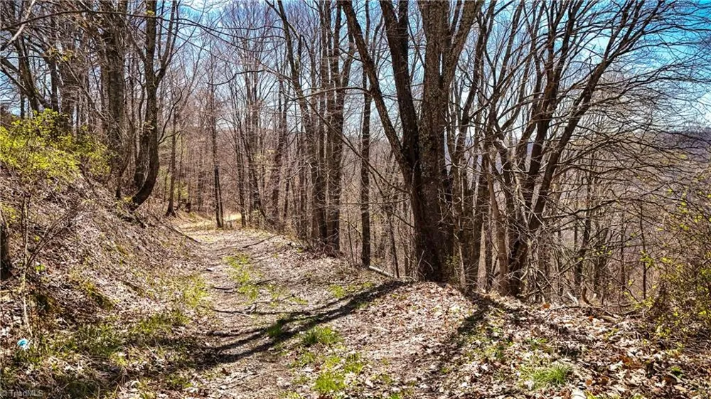 7277 Beech Mountain Road Beech Mountain, NC 28622