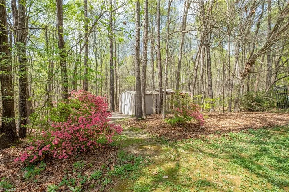 3227 US Highway 601 Mocksville, NC 27028