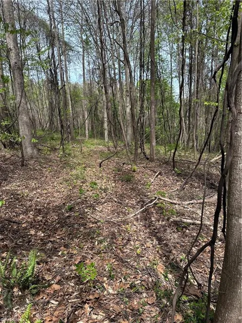 0 Will Boone Road