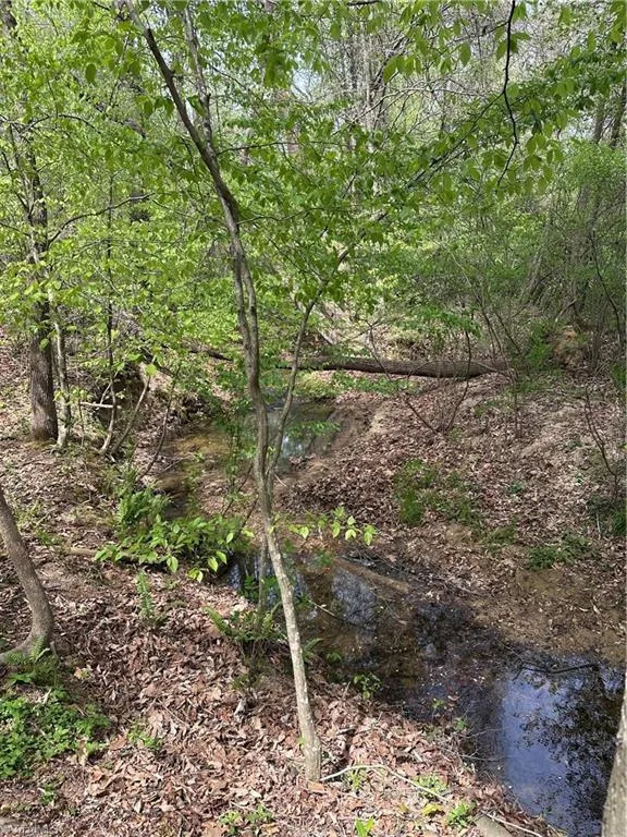 0 Will Boone Road Mocksville, NC 27028