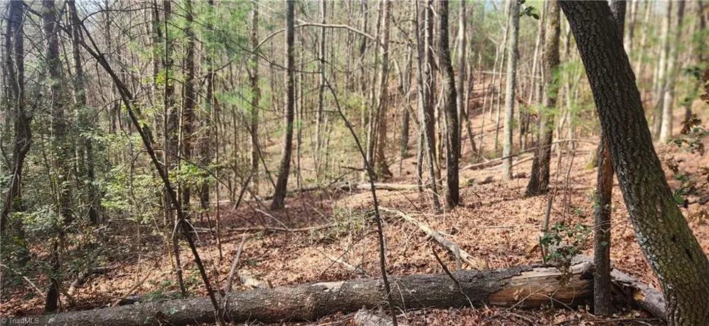 TBD Cane Creek Church Road McGrady, NC 28649