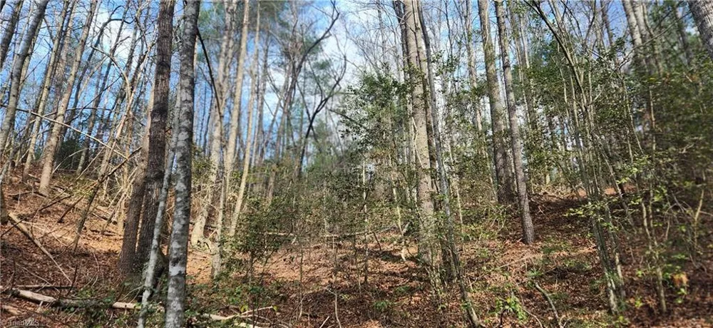 TBD Cane Creek Church Road McGrady, NC 28649
