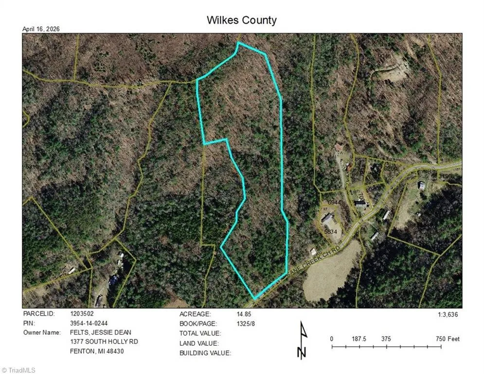 TBD Cane Creek Church Road McGrady, NC 28649