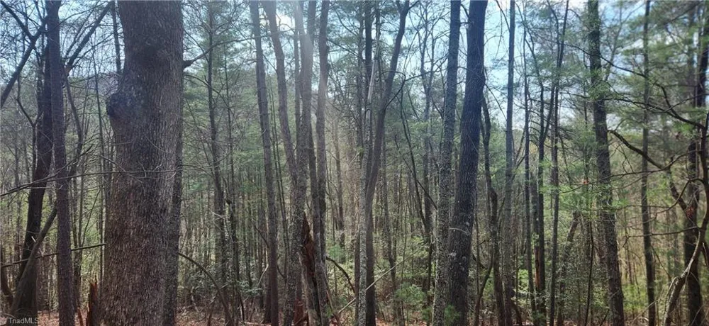 TBD Cane Creek Church Road McGrady, NC 28649