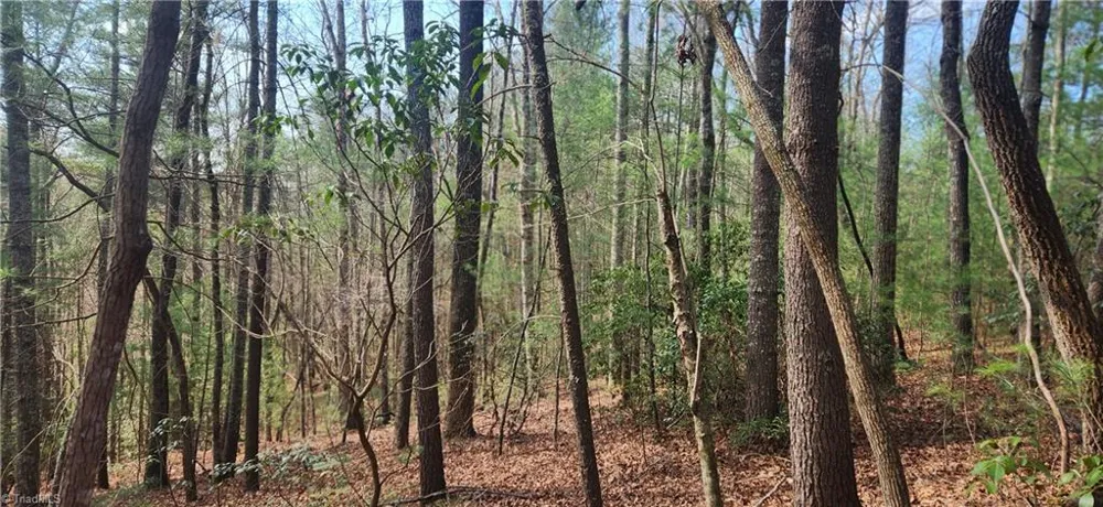 TBD Cane Creek Church Road McGrady, NC 28649