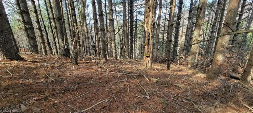 TBD (Lots 25/26/27) Miriam Way Piney Creek, NC 28663