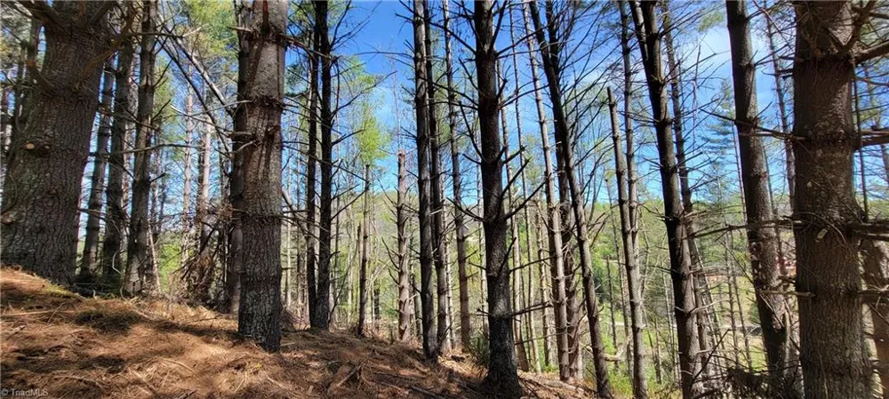 TBD (Lots 25/26/27) Miriam Way Piney Creek, NC 28663