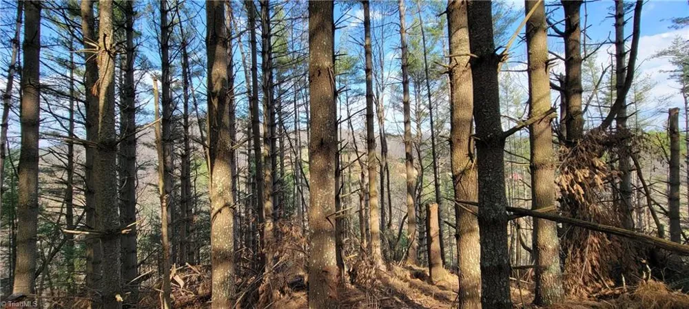 TBD (Lots 25/26/27) Miriam Way Piney Creek, NC 28663