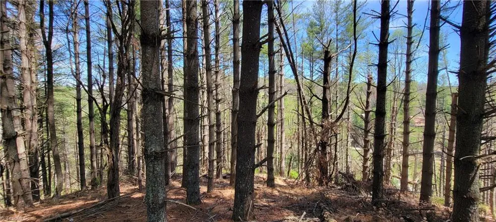 TBD (Lots 25/26/27) Miriam Way Piney Creek, NC 28663