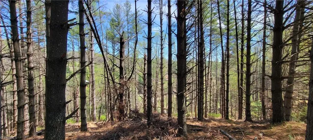 TBD (Lots 25/26/27) Miriam Way Piney Creek, NC 28663