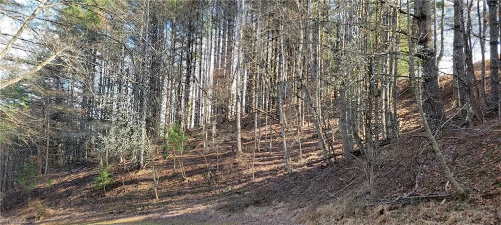 TBD (Lots 25/26/27) Miriam Way Piney Creek, NC 28663