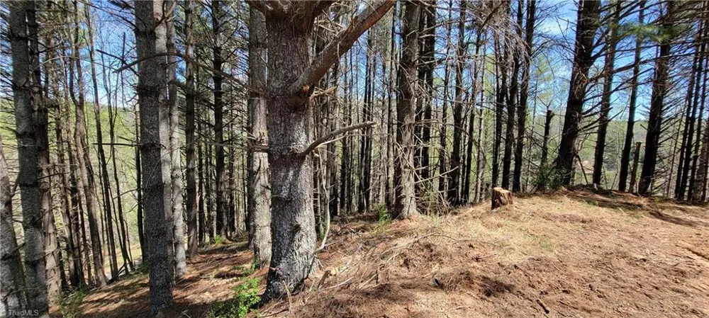TBD (Lots 25/26/27) Miriam Way Piney Creek, NC 28663