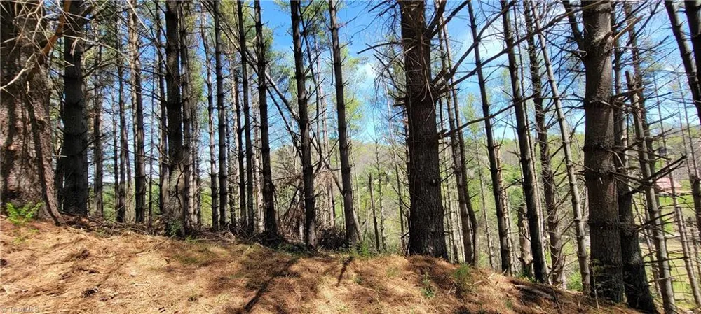 TBD (Lots 25/26/27) Miriam Way Piney Creek, NC 28663