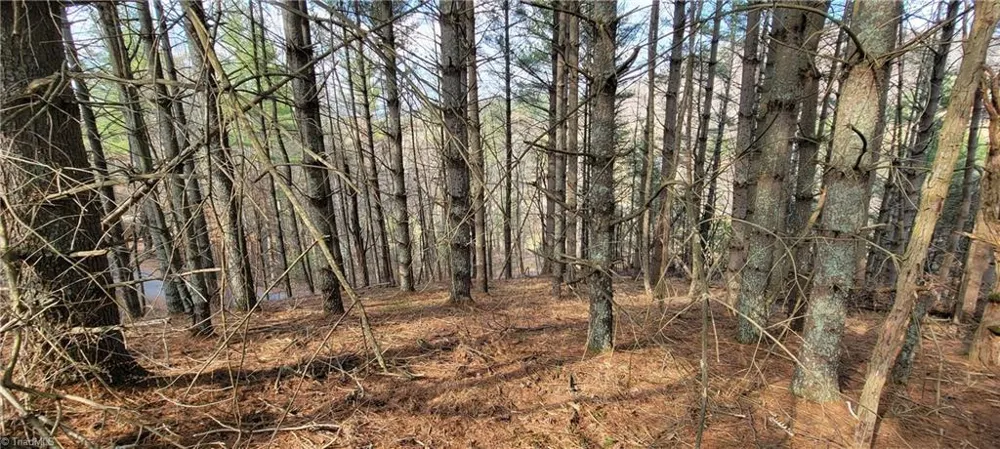 TBD (Lots 25/26/27) Miriam Way Piney Creek, NC 28663