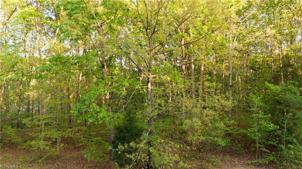 303 Healing Springs Drive Denton, NC 27239
