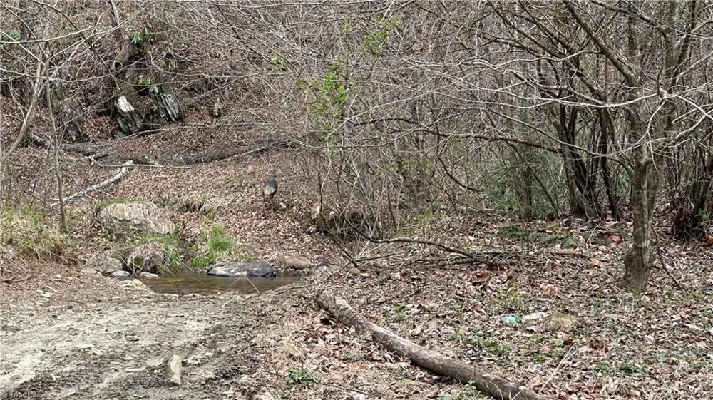 TBD Darnell Creek Road Millers Creek, NC 28651