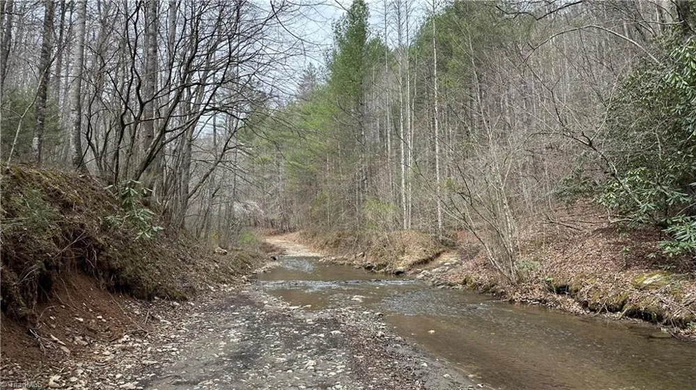 TBD Darnell Creek Road Millers Creek, NC 28651