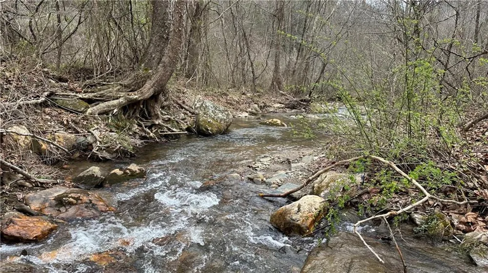 TBD Darnell Creek Road Millers Creek, NC 28651